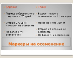 Маркеры на осеменение
